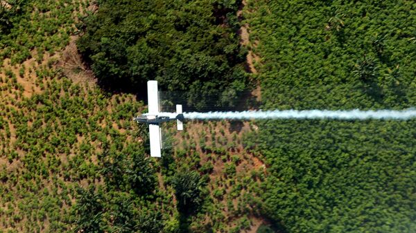 Colombia desafía a EEUU y detiene la fumigación de plantaciones de coca - Sputnik Mundo