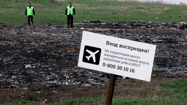 Lugar del siniestro del Boeing MH17 - Sputnik Mundo