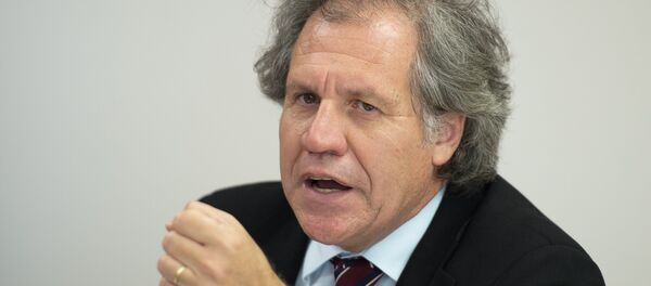 Uruguay's Minister of Foreign Affairs Luis Almagro announces his candidacy for the Organization of American States General Secretariat during a press conference at the Uruguay Embassy in Washington, DC, July 3, 2014 Uruguay's Minister of Foreign Affairs Luis Almagro announces his candidacy for the Organization of American States General Secretariat during a press conference at the Uruguay Embassy in Washington, DC, July 3, 2014 - Sputnik Mundo