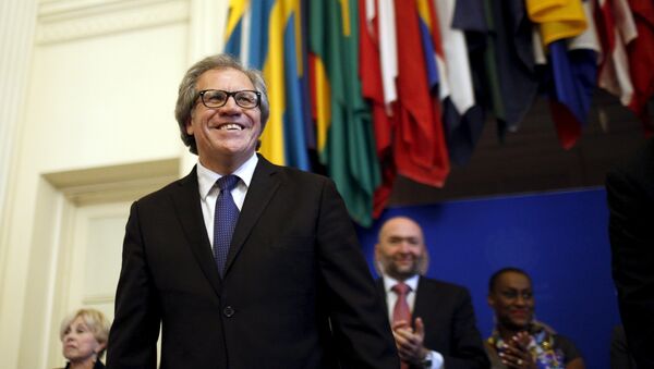 Uruguayan diplomat Luis Almagro Lemes arrives at an inauguration ceremony to be inaugurated as the new Secretary-General of the Organization of American States (OAS) - Sputnik Mundo