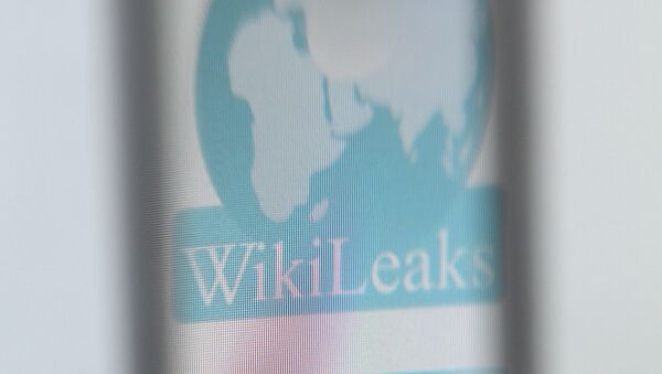 The logo of the website specialised in publishing secret documents WikiLeaks - Sputnik Mundo