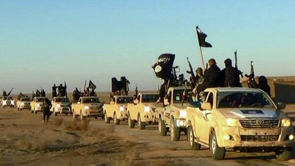 Militantes del grupo terrorista Estado Islámico - Sputnik Mundo