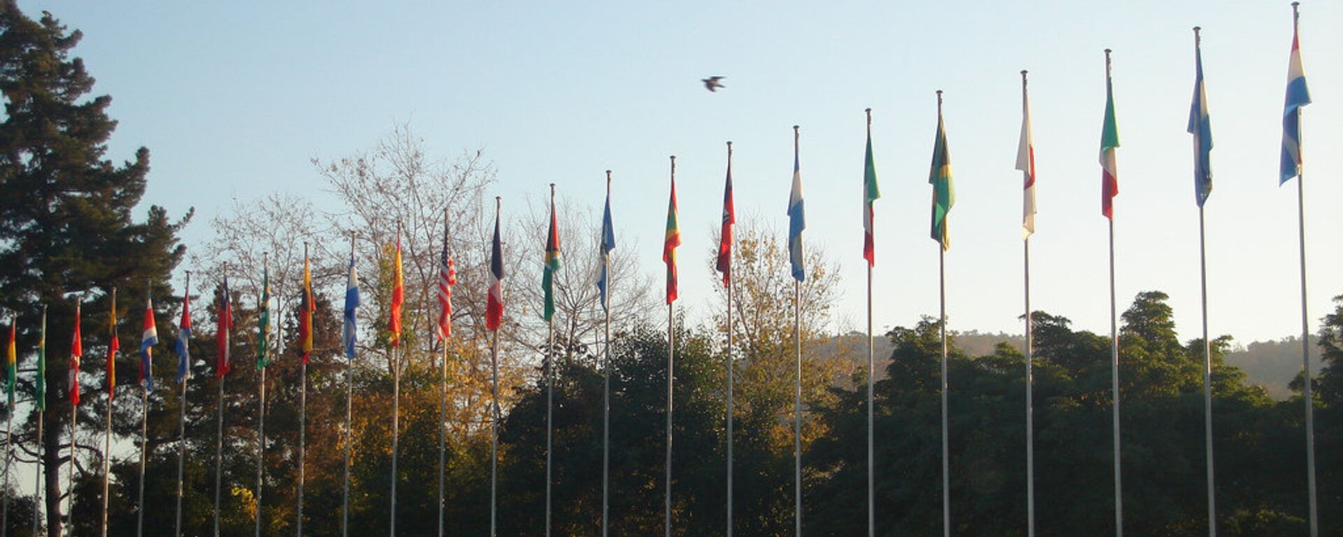 Banderas de la CEPAL - Sputnik Mundo, 1920, 18.09.2021