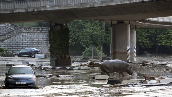 Al menos 11 muertos debido a inundaciones en Tiflis - Sputnik Mundo