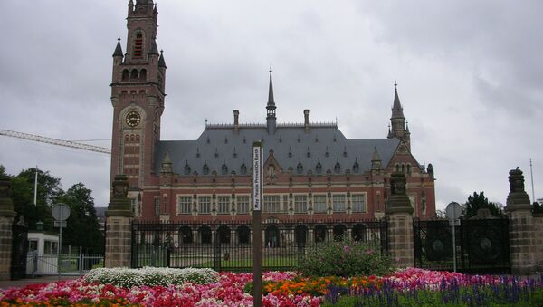 Palacio de la Paz en La Haya - Sputnik Mundo