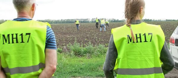 Expertos internacionales en el lugar del siniestro del Boeing MH17 Expertos internacionales en el lugar del siniestro del Boeing MH17 - Sputnik Mundo