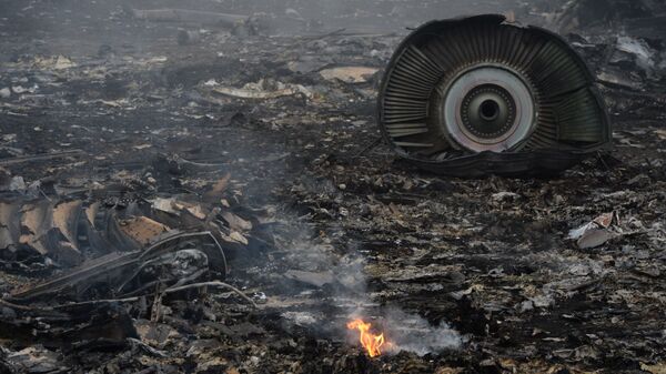 El lugar del siniestro del MH17 en Ucrania - Sputnik Mundo
