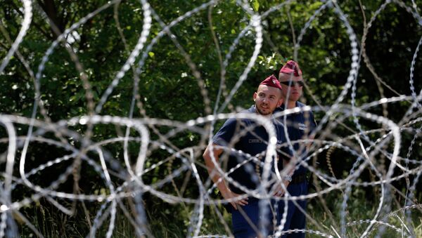 Policías húngaros guardan una valla contra migrantes - Sputnik Mundo