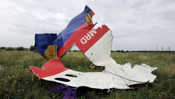 A piece of wreckage of the Malaysia Airlines flight MH17 is pictured on July 18, 2014 in Shaktarsk, the day after it crashed.  - Sputnik Mundo