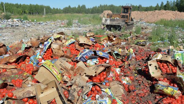 Rusia destruye en un día 290 toneladas de alimentos sancionados - Sputnik Mundo