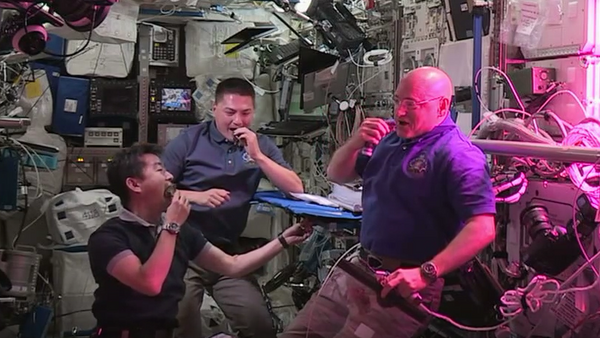 Astronautas de la EEI prueban la primera lechuga cultivada en espacio - Sputnik Mundo