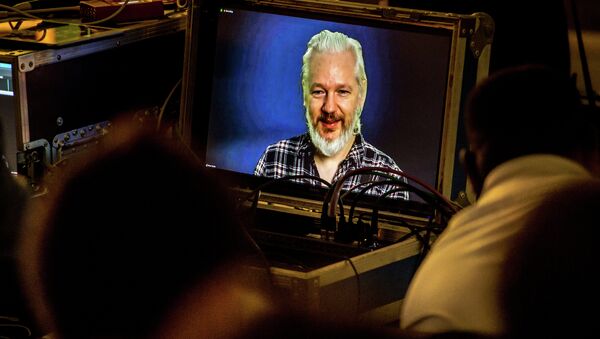 Julian Assange, fundador de WikiLeaks, durante una  videoconferencia - Sputnik Mundo