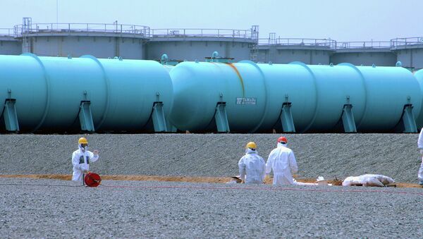 Aguas del subsuelo en Fukushima - Sputnik Mundo