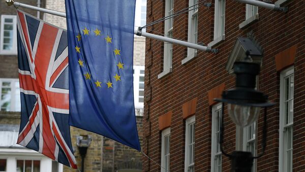 Las propuestas de Londres para reformar la UE deben corregirse - Sputnik Mundo