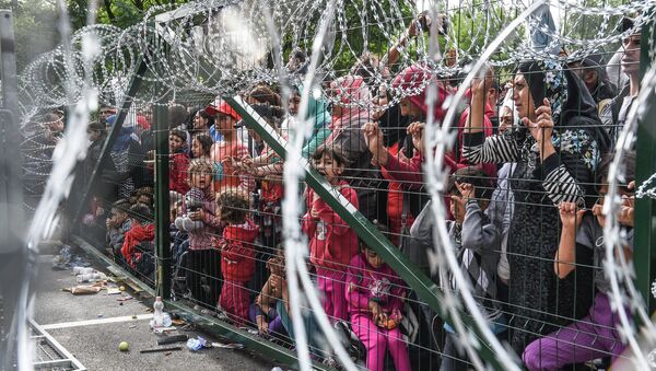 Refugiados detrás de una valla en la frontera entre Serbia y Hungría (archivo) - Sputnik Mundo
