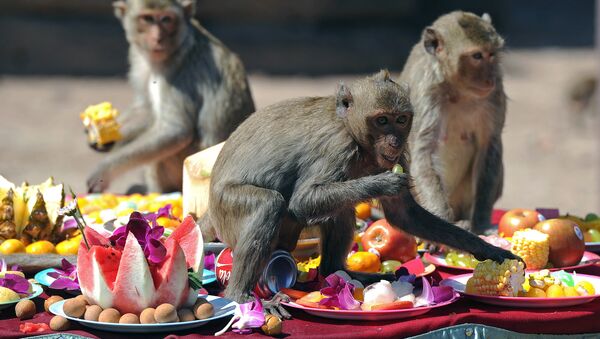 Macacos en Bangkok - Sputnik Mundo
