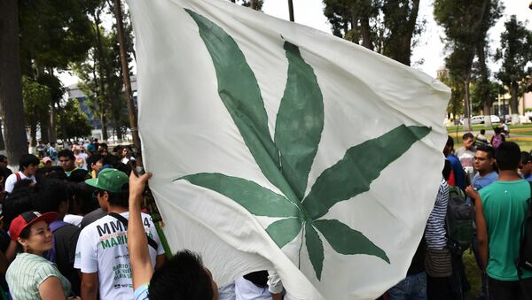 People demonstrate for the legalization of marihuana in Lima  - Sputnik Mundo
