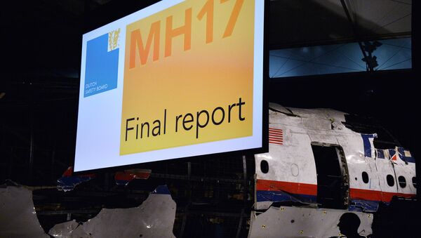 Informe técnico definitivo de la catástrofe del MH17 - Sputnik Mundo