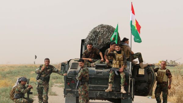 Los combatientes de las milicias kurdas (peshmerga) en Irak - Sputnik Mundo