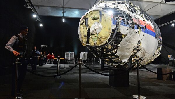 Informe técnico de la catástrofe del MH17 - Sputnik Mundo