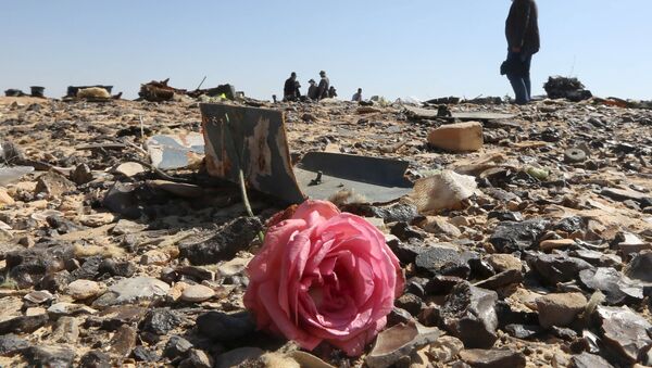 Flor en los restos del avión ruso Airbus-321 siniestrado en Egipto - Sputnik Mundo