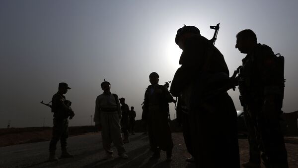 Milicianos kurdos en Irak (archivo) - Sputnik Mundo