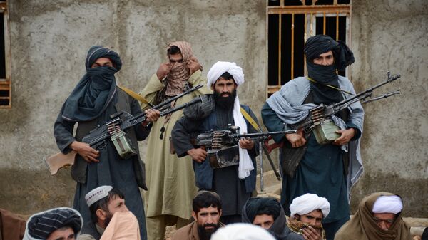 Afghan Taliban fighters in Farah province, Afghanistan - Sputnik Mundo