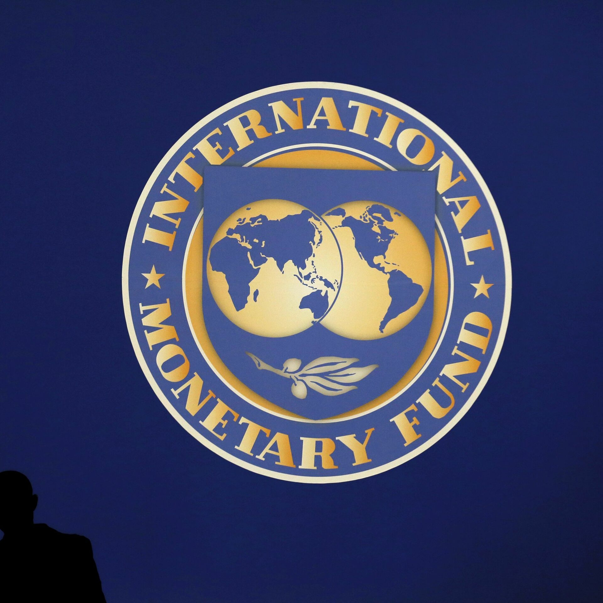 Всемирный валютный фонд. Международный валютный фонд (МВФ). Международный валютный фонд эмблема. Флаг МВФ.