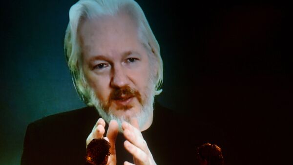 Julian Assange, fundador de WikiLeaks - Sputnik Mundo