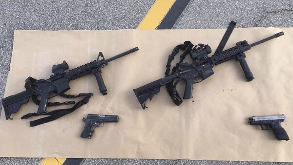 Armas confiscadas después el tiroteo masivo en San Bernardino - Sputnik Mundo