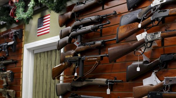 La Asociación Nacional del Rifle continuará defendiendo derecho a portar armas - Sputnik Mundo