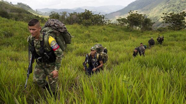 Militantes de las FARC (Archivo) - Sputnik Mundo