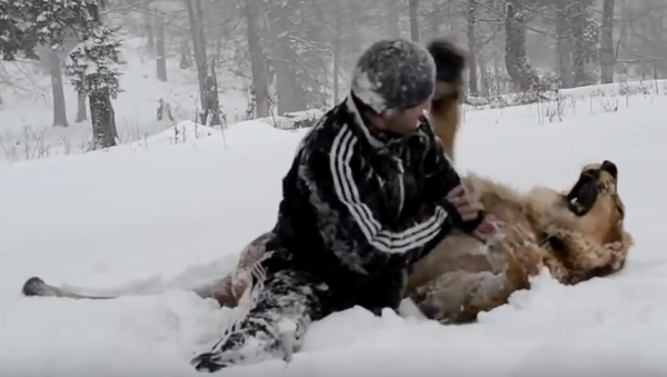 Mientras tanto en Rusia un hombre juega con un león - Sputnik Mundo