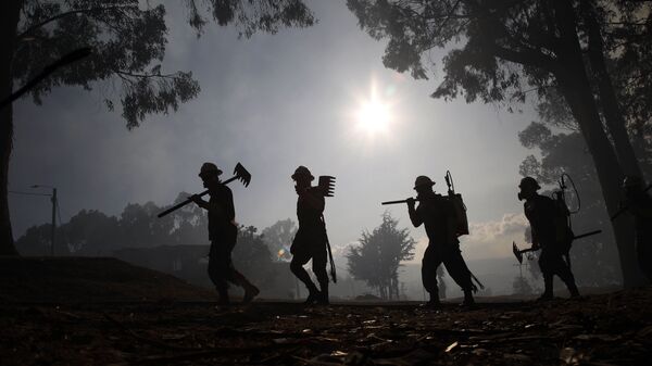 Soldados ayudan a controlar un incendio forestal, Bogotá - Sputnik Mundo