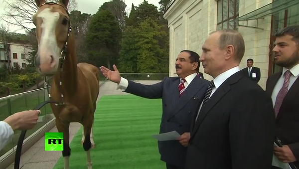 Putin regala un caballo al rey de Bahréin - Sputnik Mundo