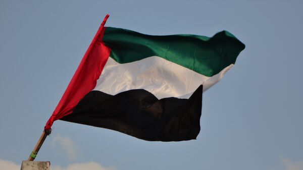 La bandera de Emiratos Árabes Unidos - Sputnik Mundo