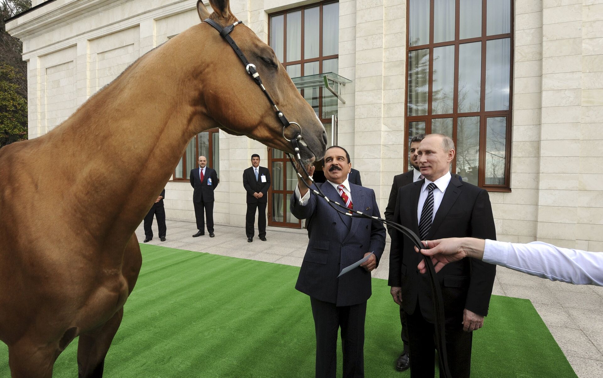 Подари лошадку. Лошадь Путина. Конюшня Путина.