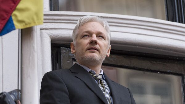 Julian Assange - Sputnik Mundo