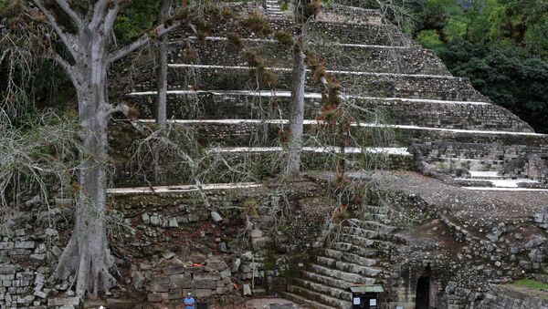 Picture taken at the Mayan archaeological site of Copan, 400 km from Tegucigalpa in western Honduras, near the border with Guatemala, on December 7, 2015 - Sputnik Mundo