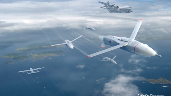 La aviación de EEUU prevé siete millones de drones para 2020 - Sputnik Mundo