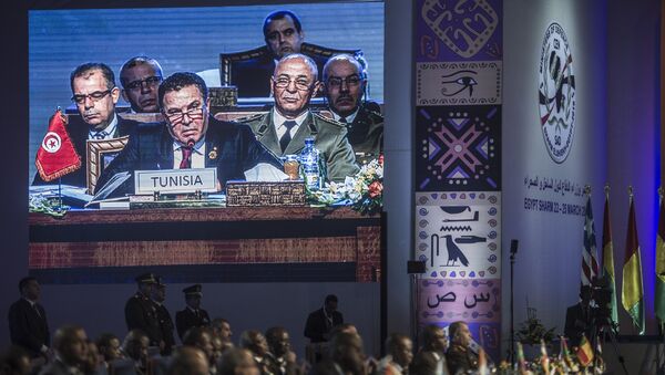 Reunión de los ministros de Defensa de la CEN-SAD en Egipto - Sputnik Mundo