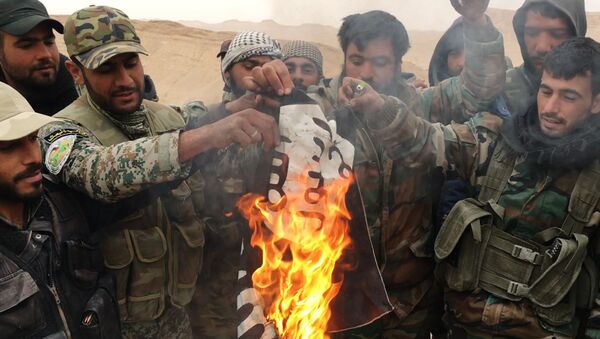 Militares sirios y milicias del grupo Halcones del Desierto queman la bandera de Daesh en Palmira (archivo) - Sputnik Mundo
