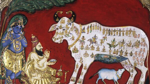 Vaca en la pintura india del siglo XVIII - Sputnik Mundo