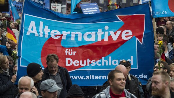 Partidores del Alternativa para Alemania en Berlín - Sputnik Mundo
