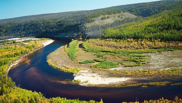 Uno de los afluentes del río Lena en Yakutia - Sputnik Mundo