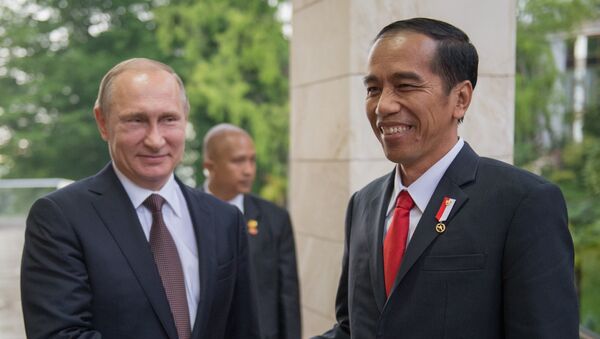 Двусторонняя встреча президента РФ В. Путина с президентом Индонезии Джоко Видодо - Sputnik Mundo
