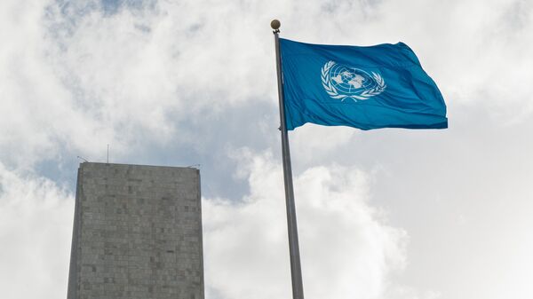 La bandera de las Naciones Unidas - Sputnik Mundo