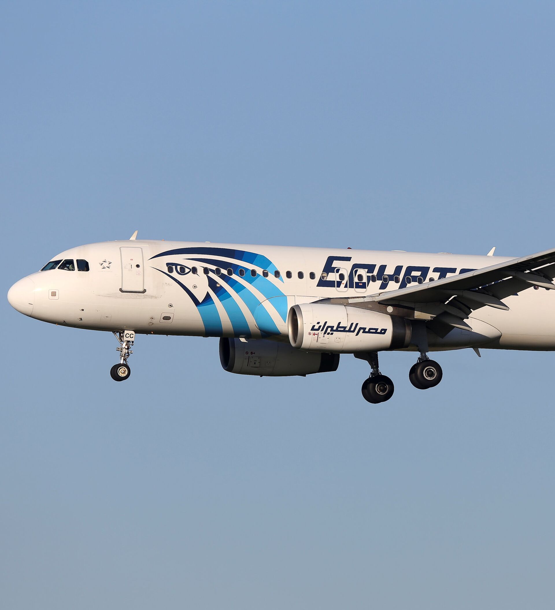 Egyptair купить билет. EGYPTAIR Flight 667. 1999 Года рейс 990 EGYPTAIR. Самолет в Египет из Махачкалы. Фото самолёта a-321 EGYPTAIR.