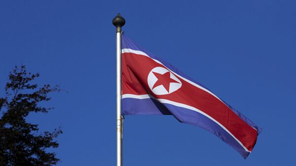 A North Korean flag flies on a mast at the Permanent Mission of North Korea in Geneva October 2, 2014. - Sputnik Mundo