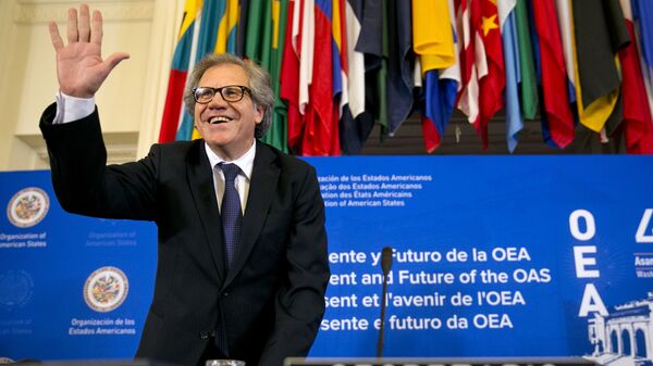 The new Organization of American States (OAS) Secretary General, former Uruguay Foreign Minister Luis Almagro, waves at the start of the general assembly's inaugural session in the Hall of the Americas, Monday June 15, 2015, at the OAS in Washington - Sputnik Mundo
